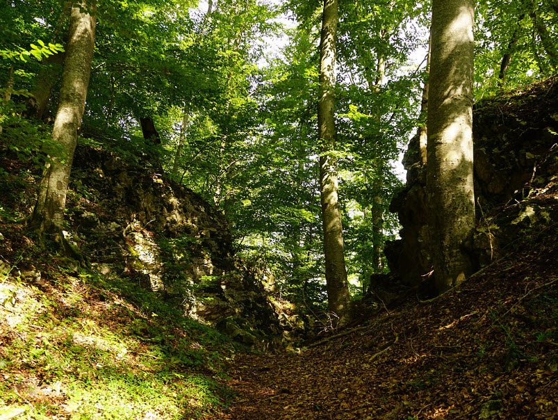 Burgrest Sirgenstein, Germany